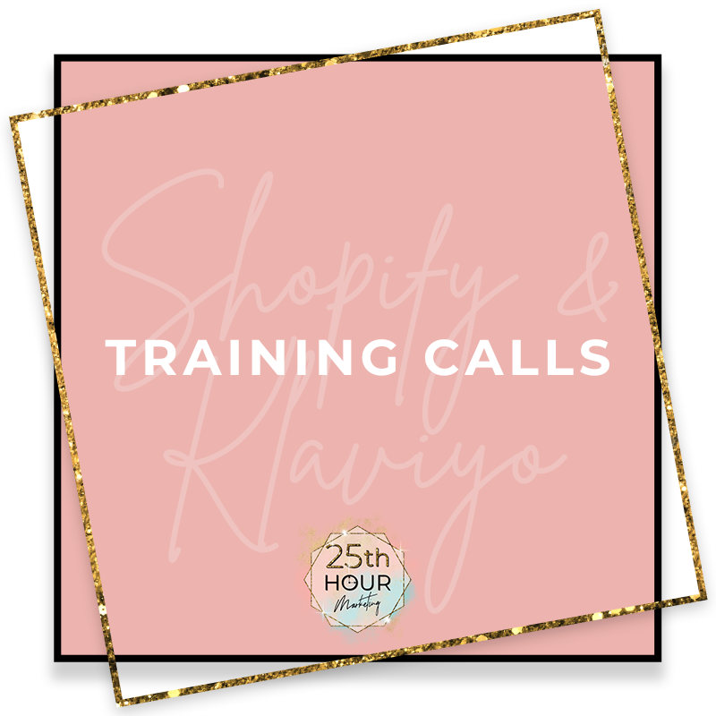 Shopify or Klaviyo 1:1 Training Session